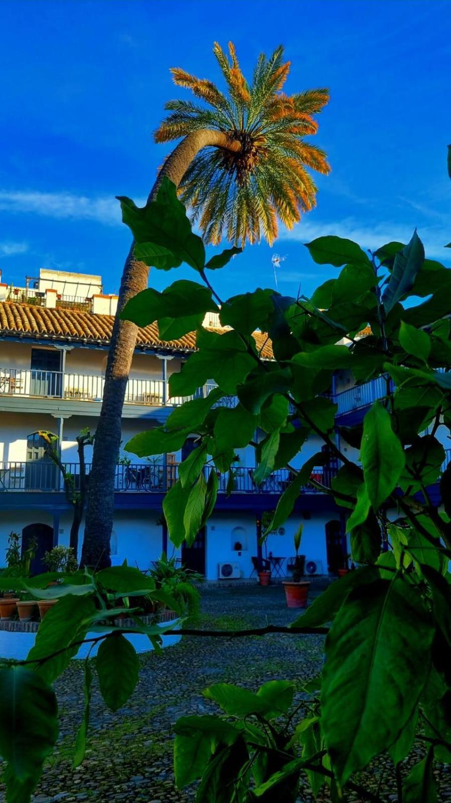 Andalusian Courtyard Siviglia