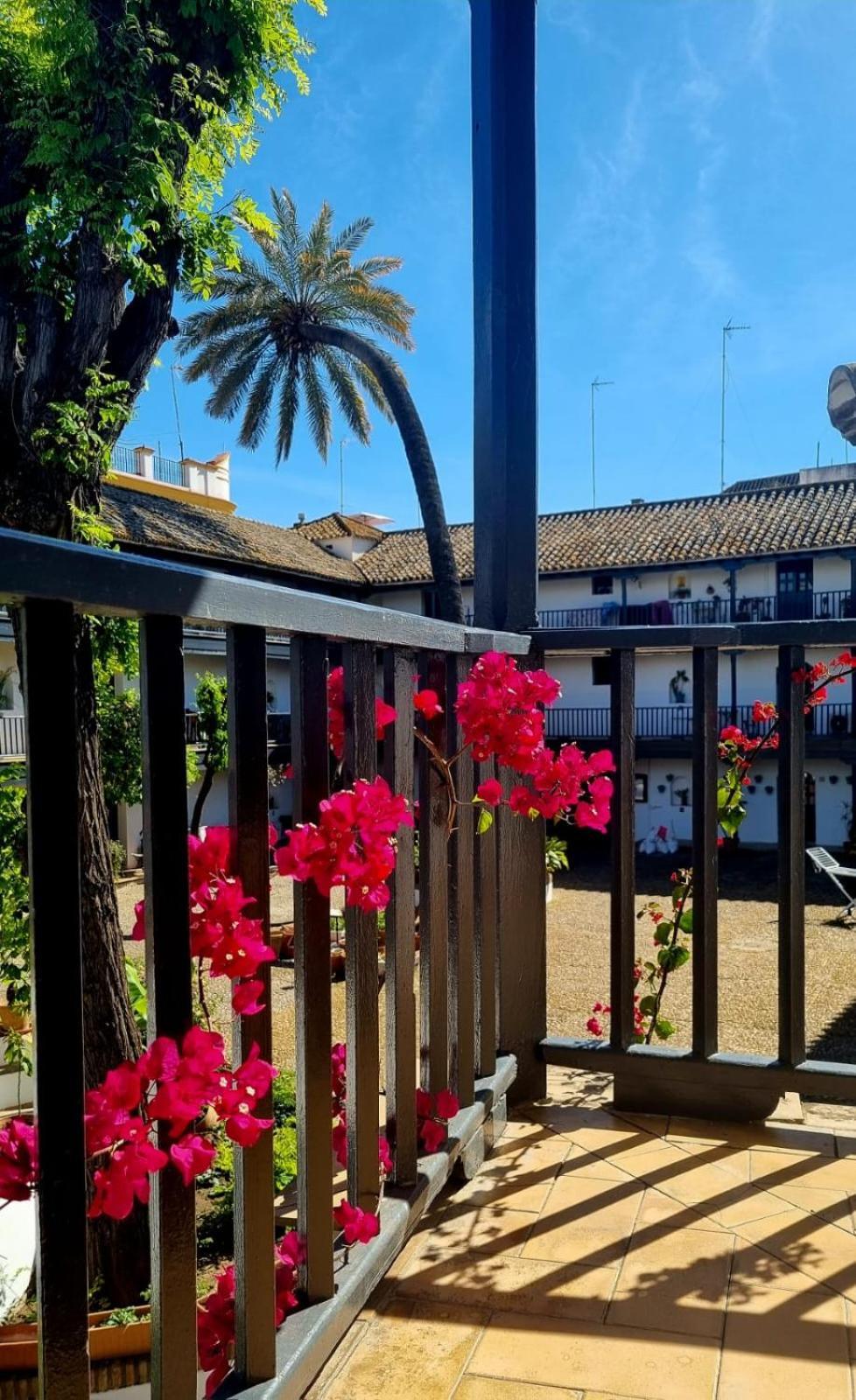 Appartamento Andalusian Courtyard Siviglia
