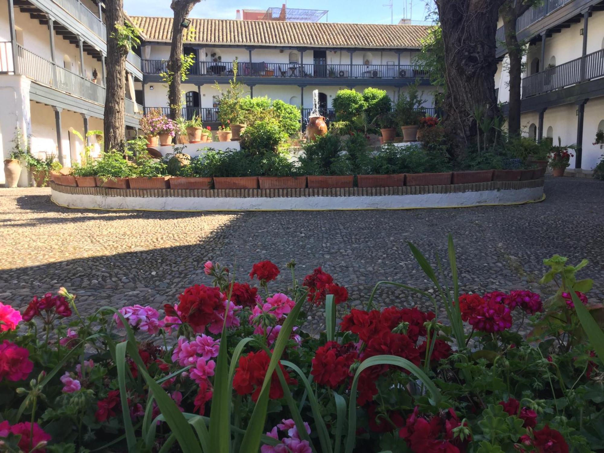 Andalusian Courtyard Siviglia