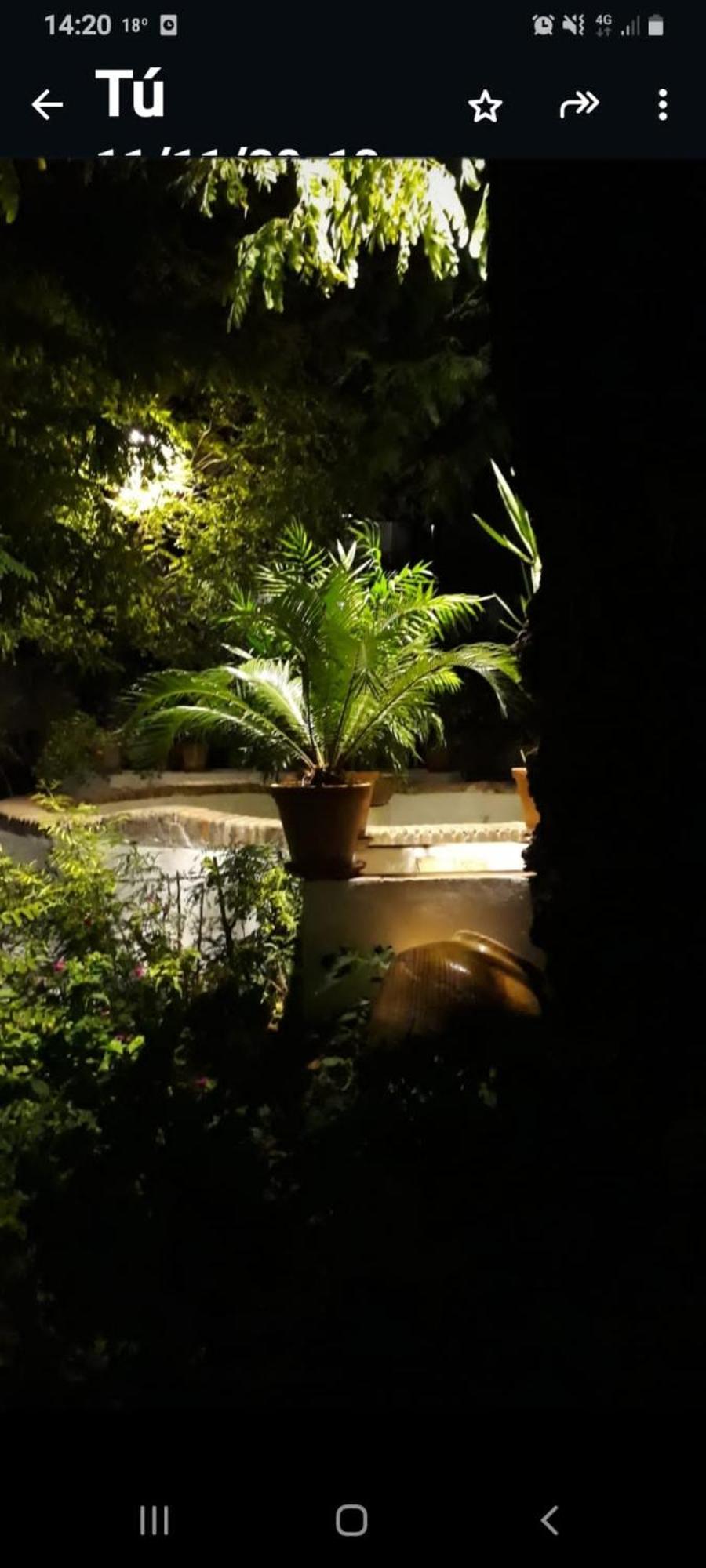Appartamento Andalusian Courtyard Siviglia
