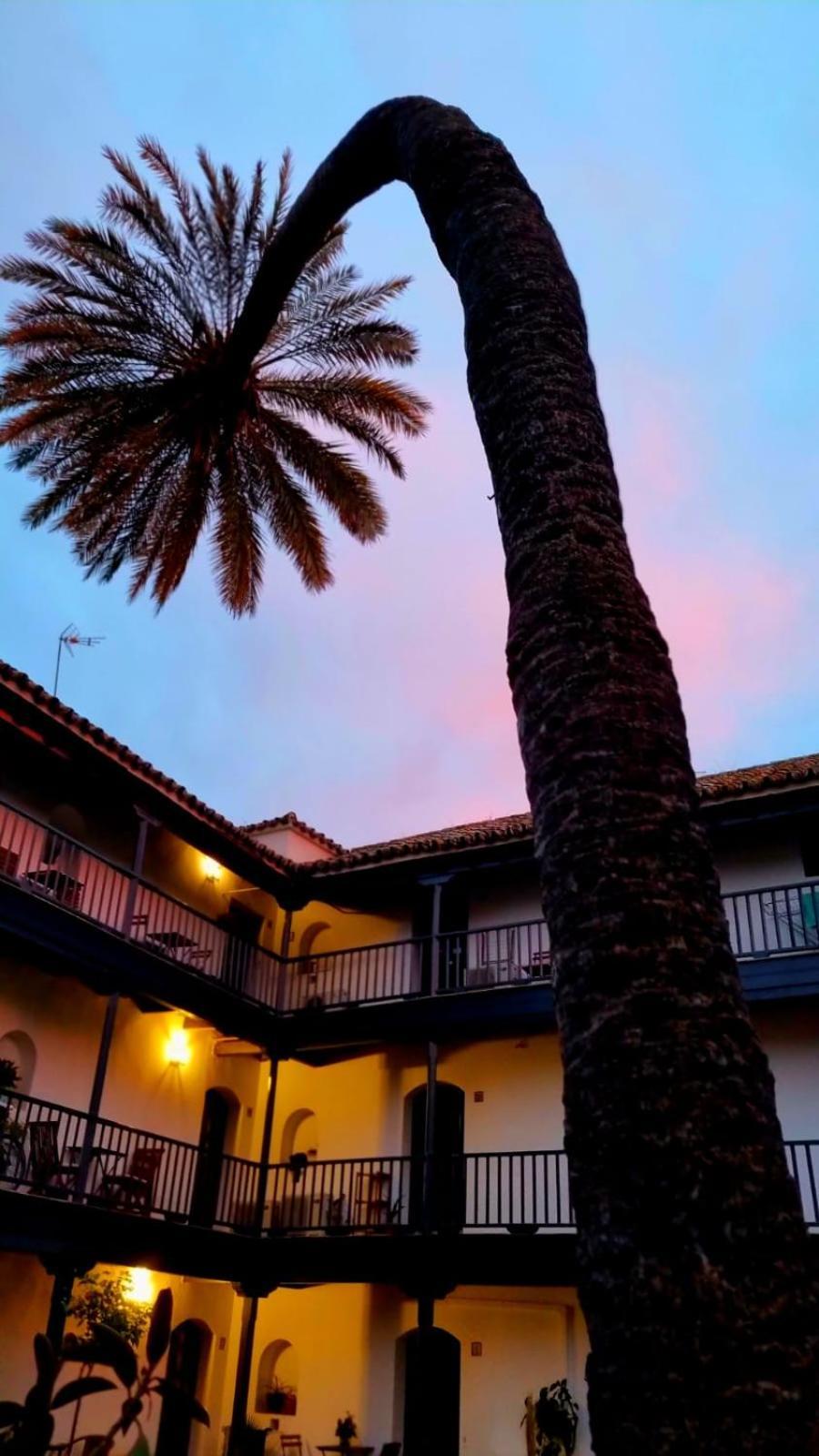 Andalusian Courtyard * Siviglia