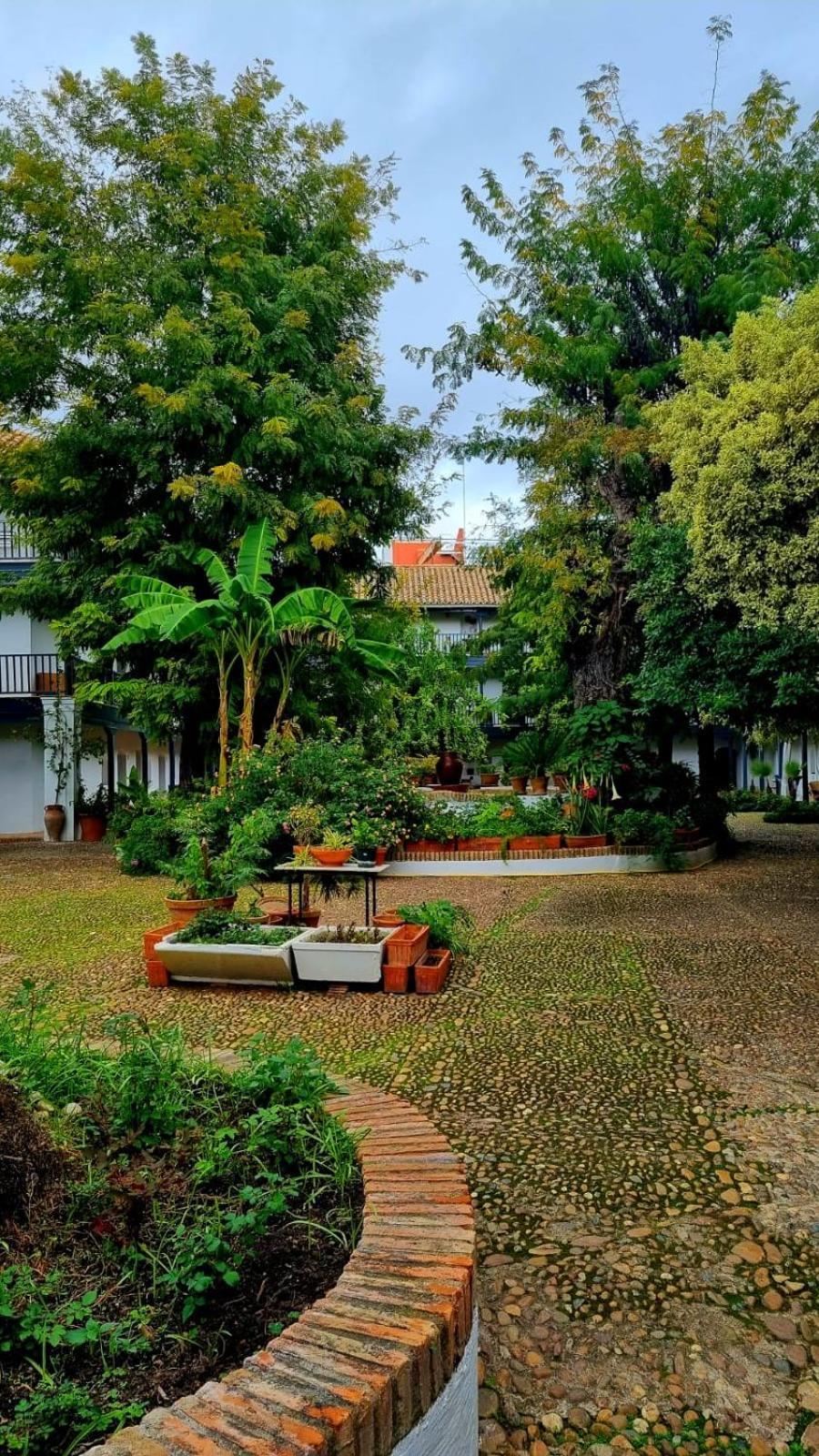 Andalusian Courtyard Appartamento