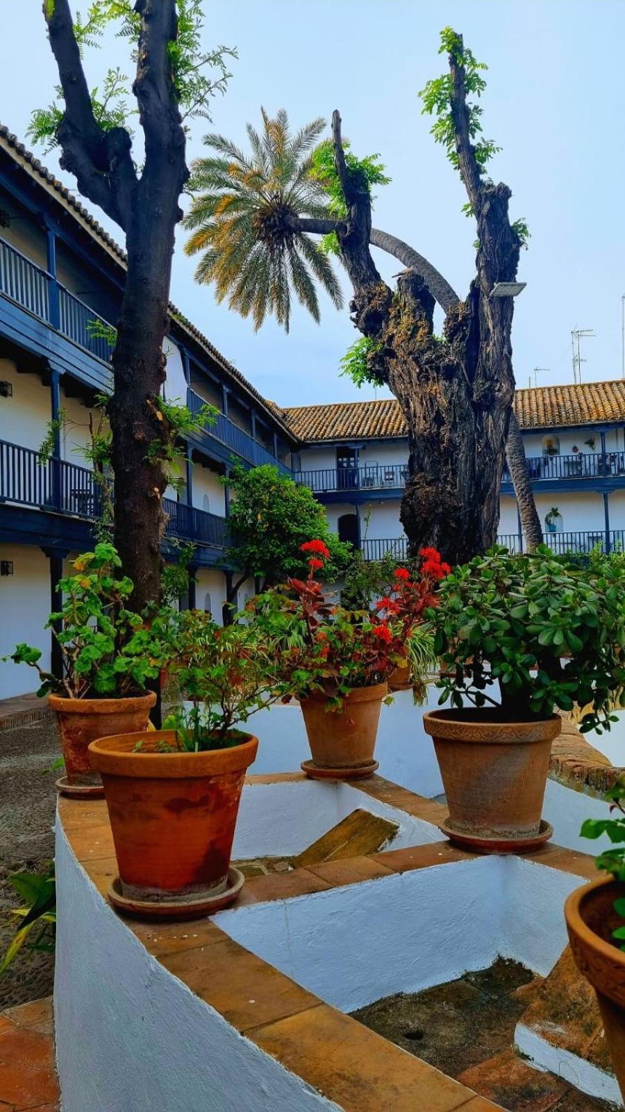 Andalusian Courtyard Appartamento Siviglia