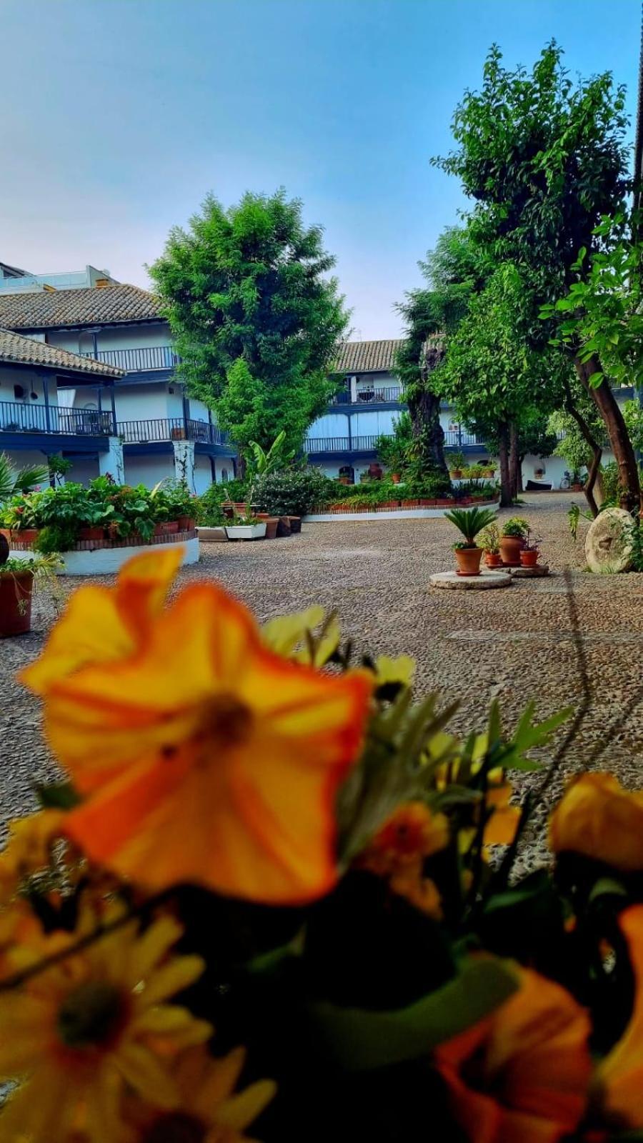 Appartamento Andalusian Courtyard Siviglia