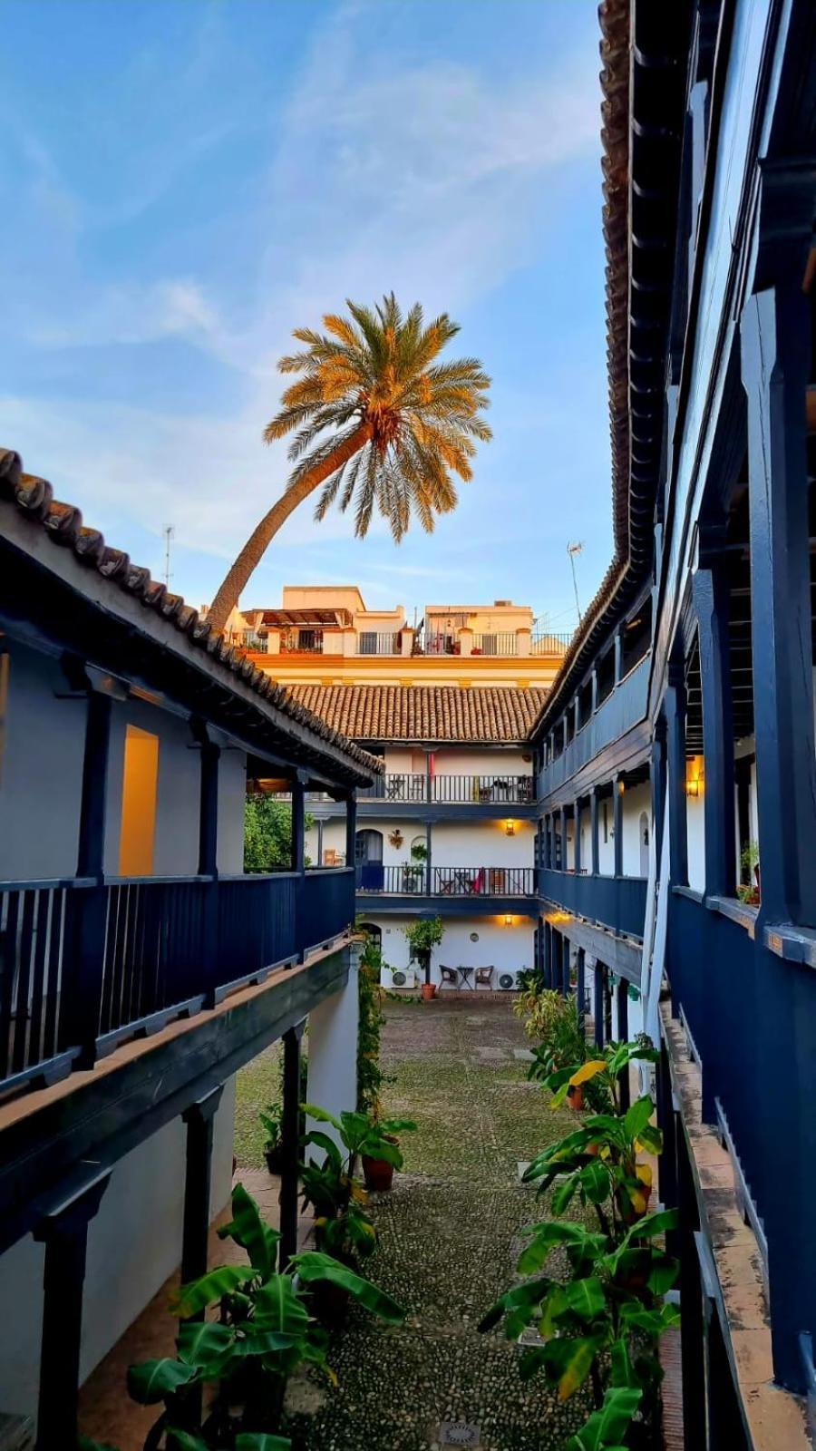 Andalusian Courtyard * Siviglia