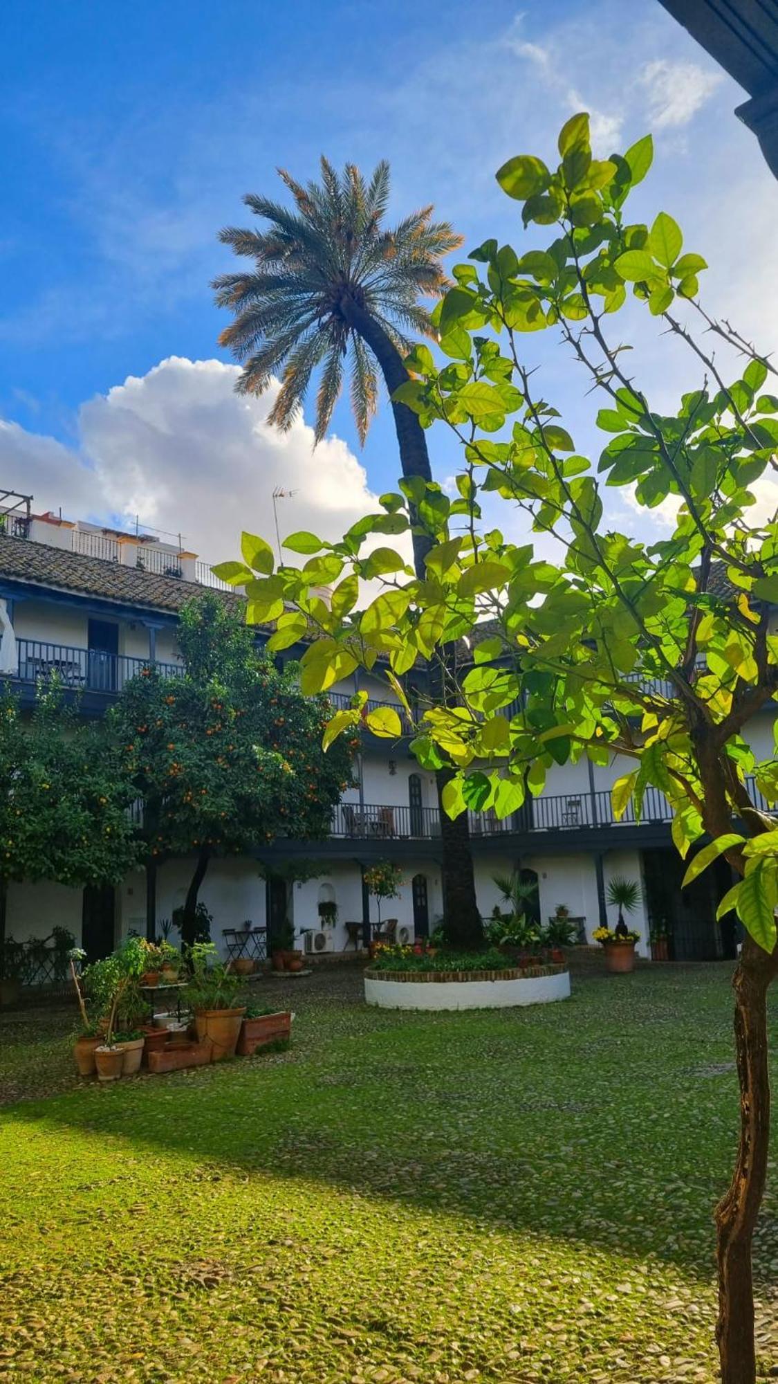 Appartamento Andalusian Courtyard
