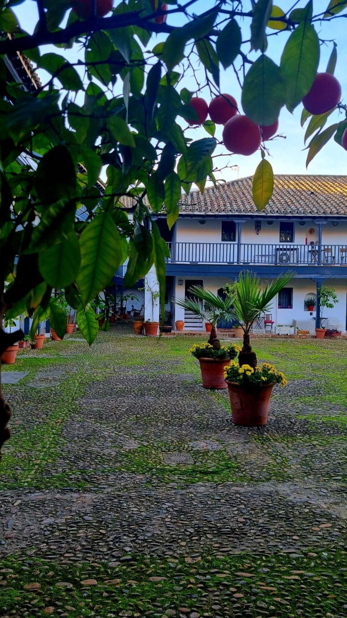Andalusian Courtyard Appartamento *