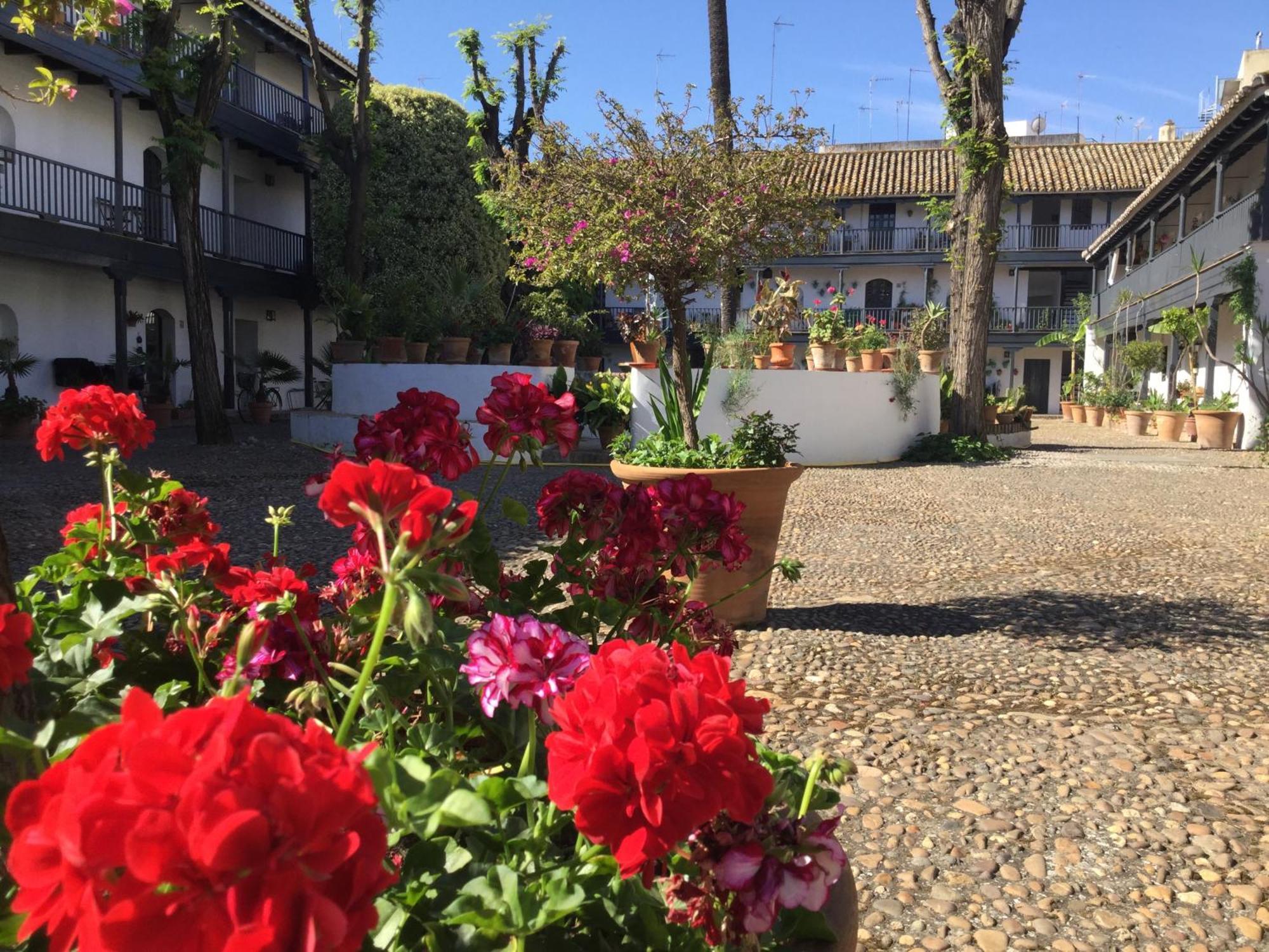 Appartamento Andalusian Courtyard *